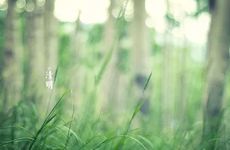 梦见被观察 梦见被观察的象征意义