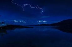 家里养兔子对运气好吗 夫妻感情提升