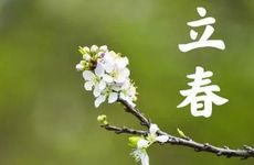 春饼怎么做又薄又软又好吃 立春吃春饼的另一种含义