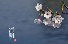 家里栽猕猴桃是凶树吗 家里栽猕猴桃是凶树吗好吗