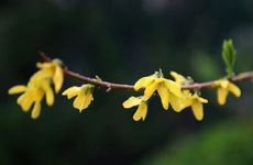 梦见水池怎么回事 梦见水池有什么预兆