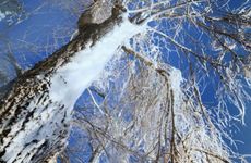 梦见在公厕排便有什么样的寓意