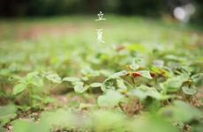 2022年立夏农历哪一天几点几分 2022立夏农历具体时间