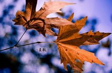 梦见男朋友和闺蜜出轨 这是不好的预兆吗