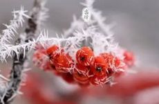 梦见摇篮周公解梦，梦见摇篮是什么意思？