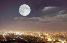 中秋节的活动及传统美食