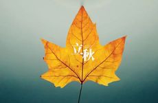 中药伏天吃好还是立秋吃 立秋为什么不适合吃药