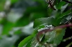 梦见拉屎拉在裤子里是什么意思？