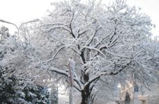 梦见彩票怎么回事 梦见彩票有什么预兆