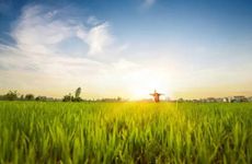 梦见大便拉在裤子里怎么回事 梦见大便 粑粑拉在裤子里什么意思