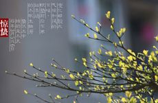 梦见别人拉了一堆大便是什么意思