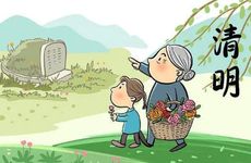 仙人球放在办公桌好吗 办公桌可以摆放仙人球吗