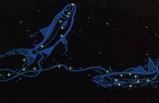 双鱼座2022年的感情运势