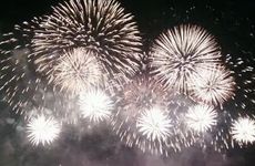 春节前开花的花卉有哪些 家中摆放蟹爪兰寓意鸿运当头