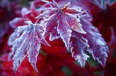 二婚死亡后和谁合葬？夫妻合葬好还是分葬好