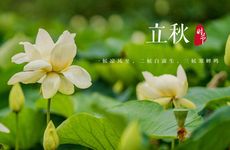 梦见宣纸周公解梦，梦见宣纸是什么意思？