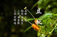 立秋出生的宝宝小名叫什么比较好？起小名有什么讲究？