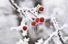 冬至立碑墓碑会裂吗？什么情况是不能立碑的？