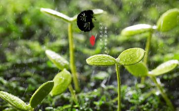 童子煞和童子命的区别 童子煞的优点