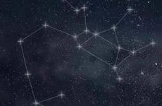 蛇女羊男婚配是否合适 火土相生真诚相待