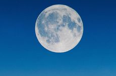 2021年娶媳妇真的不用彩礼吗 2021民法典出台彩礼