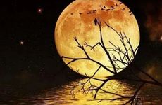 中秋节的传统习俗及寓意