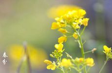 右眼皮跳真的有不好的事吗 最准眼跳寓意解析