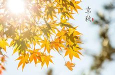 立秋节气的民俗及传统美食