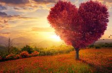 83年属猪人2022年全年运势及运程