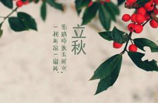 立秋是传统节日还是节气？