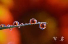 26号开始，这几大生肖横财滚滚来，桃花朵朵开，双喜临门