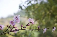 梦到对方说明对方在遗忘你吗？梦到对方是什么意思？