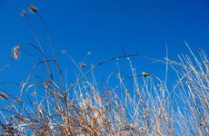 秋老虎是什么意思，立秋养生需要注意什么