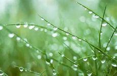 2024年白露在什么时间