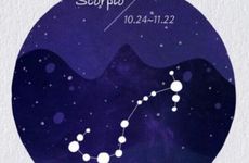 天蝎座2024年12月事业运势