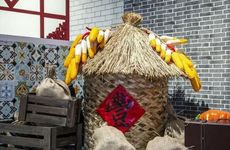 2023年正月十五还冷吗 2023年元宵节是几九