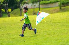 2024年端午节可以搞什么活动 有哪些传统习俗