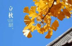 梦见蛇生蛋　周公解梦之梦到蛇生蛋