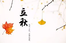 2023年8月几号立秋 2023年几月几号立秋