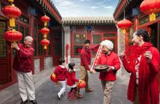 家中养什么植物聚财旺财 六大旺财植物推荐