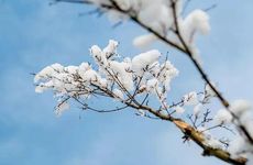 梦见银行家怎么回事 梦见银行家有什么预兆