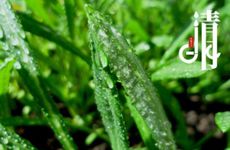 2024年运气最好的星座