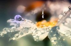 梦见兔肉 羊肉怎么回事 梦见兔肉 羊肉有什么预兆