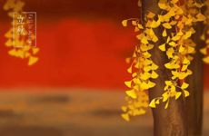 下午立秋有什么说法 24节气顺口溜大全12句