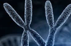 姓水的历史名人