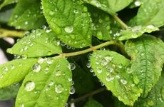 刀具放在哪易招霉运