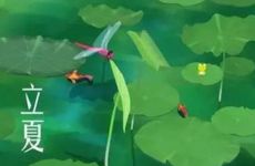 2022年5月5日立夏结婚好吗 立夏能结婚办喜事吗