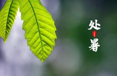 今日胎神方位 2022年11月22日农历十月二十九