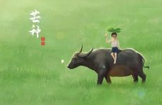 2024年芒种是收获的季节吗 芒种作物生长旺