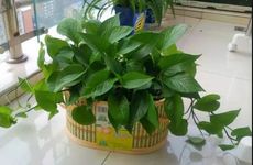 主卧中镜子要如何摆放才能安定